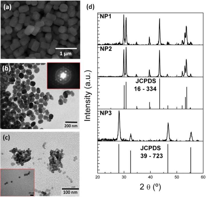 https://cdn.ncbi.nlm.nih.gov/pmc/blobs/a4fb/6397865/1d4bd43d5a4f/fchem-07-00088-g0001.jpg