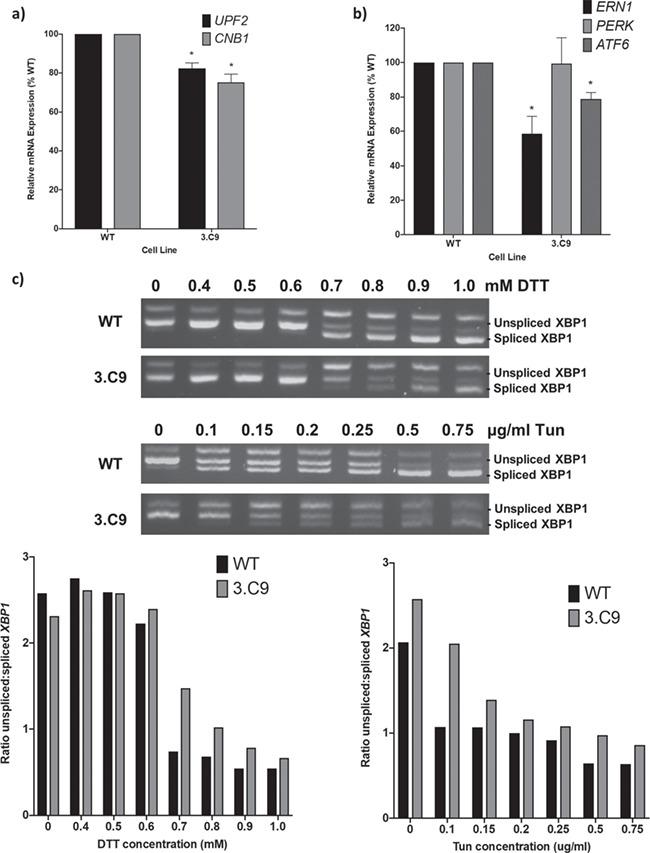 https://cdn.ncbi.nlm.nih.gov/pmc/blobs/a4fd/6935387/3771e1e30027/ddz169f3.jpg