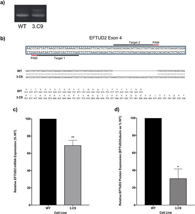 https://cdn.ncbi.nlm.nih.gov/pmc/blobs/a4fd/6935387/8e651d013fd3/ddz169f1.jpg