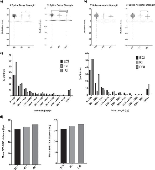 https://cdn.ncbi.nlm.nih.gov/pmc/blobs/a4fd/6935387/aa271dd76a3f/ddz169f6.jpg