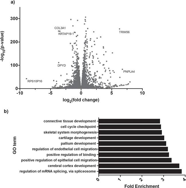 https://cdn.ncbi.nlm.nih.gov/pmc/blobs/a4fd/6935387/b735a9afa0bc/ddz169f4.jpg