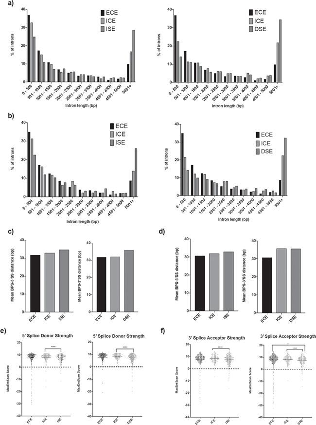 https://cdn.ncbi.nlm.nih.gov/pmc/blobs/a4fd/6935387/cb0bb37912e9/ddz169f7.jpg