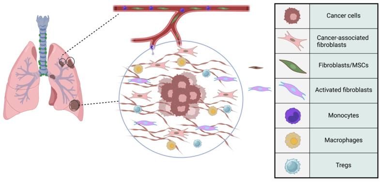 https://cdn.ncbi.nlm.nih.gov/pmc/blobs/a4fe/11472577/95dd9b8c783f/cdr-7-32.fig.1.jpg
