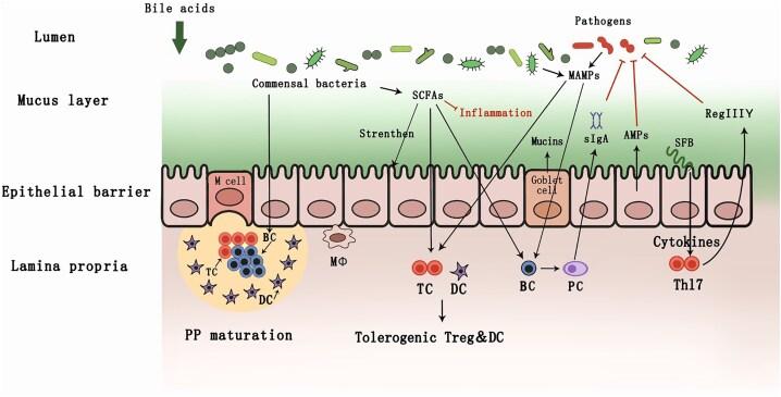 https://cdn.ncbi.nlm.nih.gov/pmc/blobs/a4fe/12065411/ee29cc6acd25/fiaf046fig2.jpg