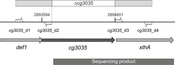 https://cdn.ncbi.nlm.nih.gov/pmc/blobs/a4ff/3827942/65c31b52db82/1471-2164-14-713-3.jpg
