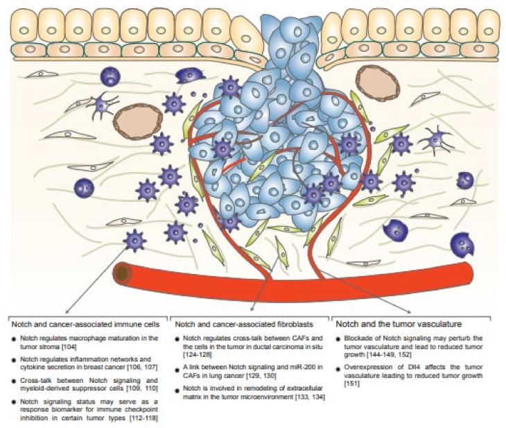 https://cdn.ncbi.nlm.nih.gov/pmc/blobs/a500/9181414/2446e3a9b912/ijms-23-06241-g003.jpg