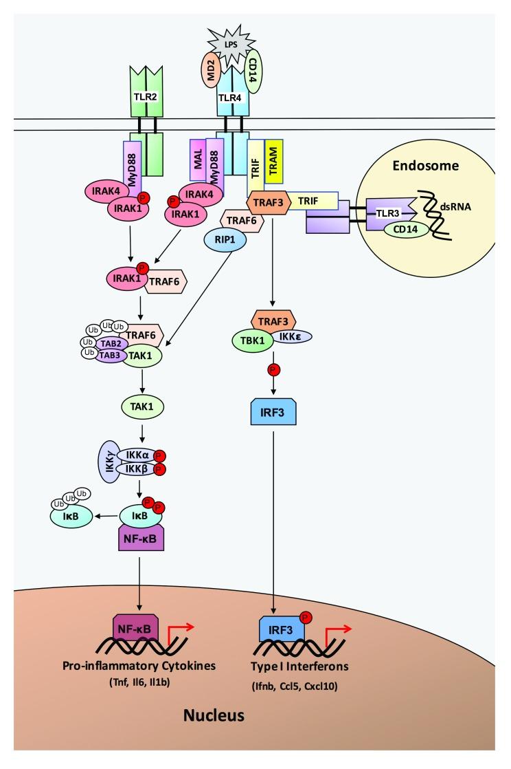 https://cdn.ncbi.nlm.nih.gov/pmc/blobs/a504/5621151/628fb0722141/f1000research-6-13022-g0000.jpg