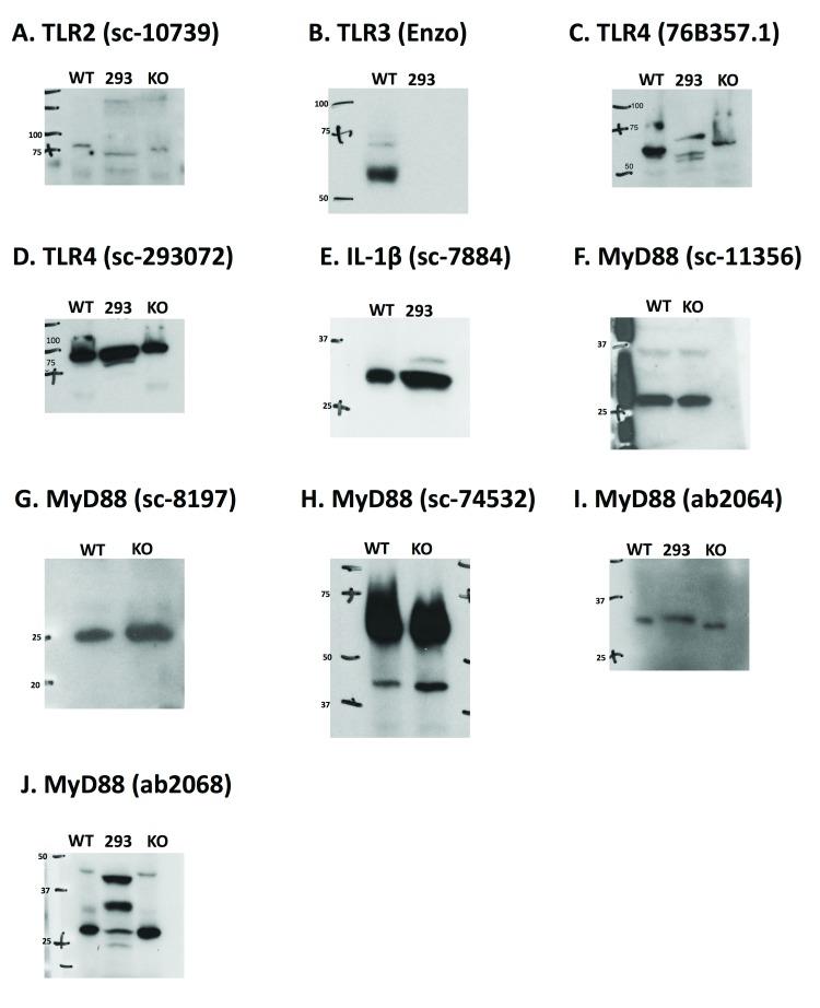 https://cdn.ncbi.nlm.nih.gov/pmc/blobs/a504/5621151/89c90d7e7e01/f1000research-6-13022-g0005.jpg