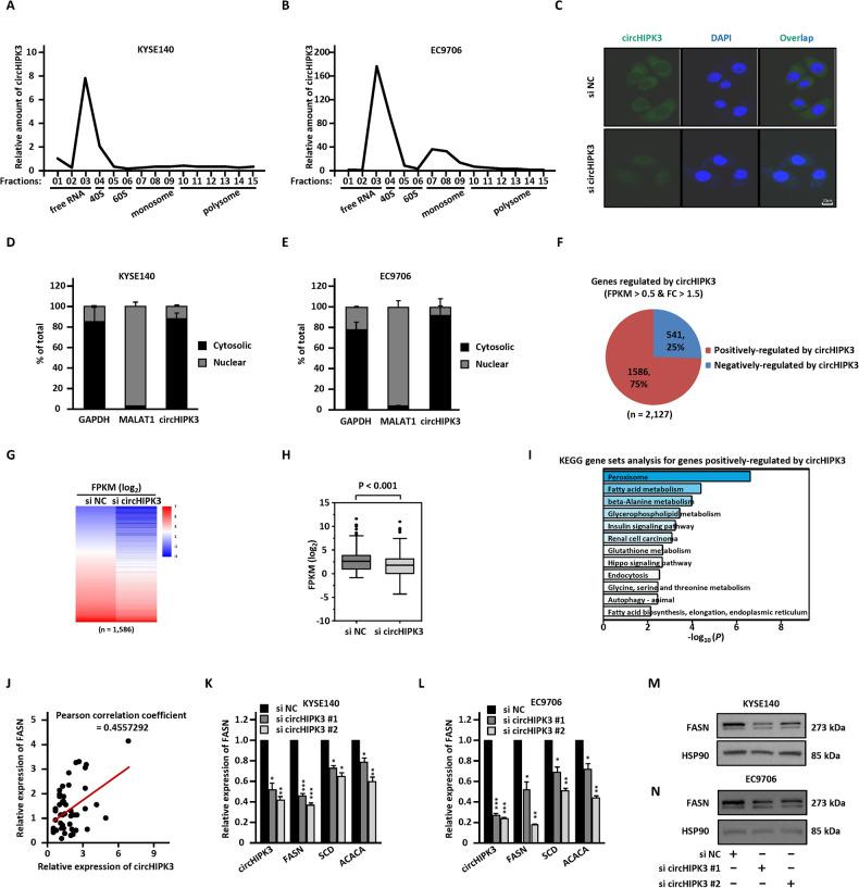 https://cdn.ncbi.nlm.nih.gov/pmc/blobs/a507/10908791/512645f02de5/41420_2024_1881_Fig2_HTML.jpg