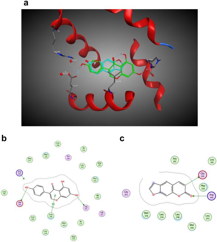https://cdn.ncbi.nlm.nih.gov/pmc/blobs/a507/8062431/40340ab3fff4/41598_2021_85145_Fig3_HTML.jpg