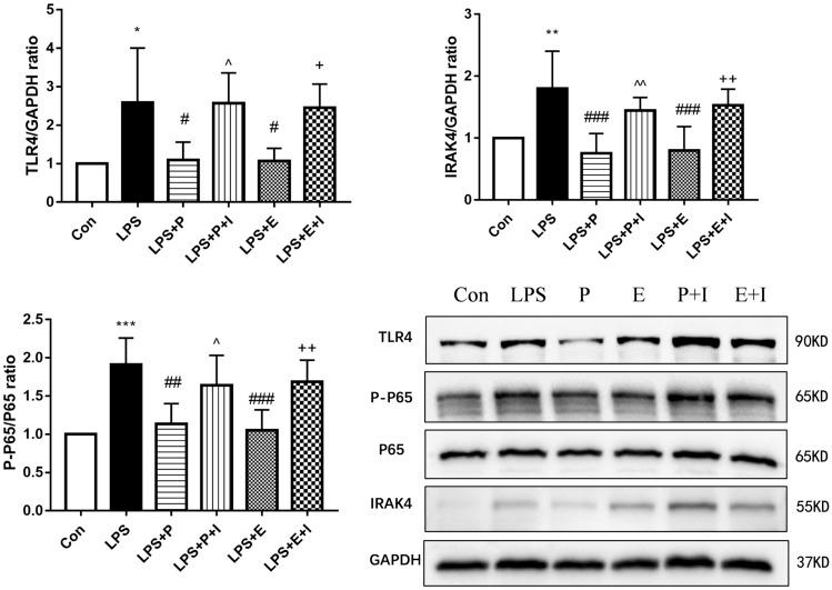 https://cdn.ncbi.nlm.nih.gov/pmc/blobs/a507/8062431/d5a8a03034a9/41598_2021_85145_Fig9_HTML.jpg