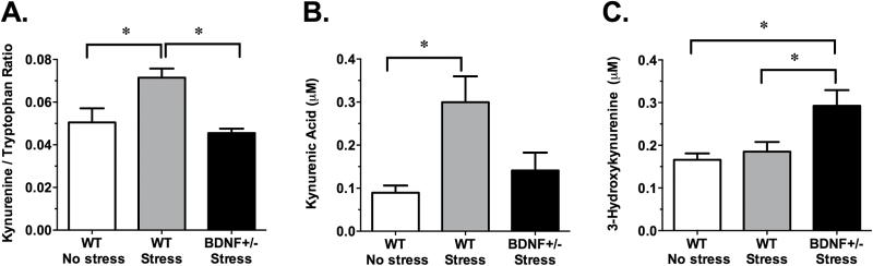 https://cdn.ncbi.nlm.nih.gov/pmc/blobs/a508/4815464/cbbab9f9cd61/ijnppy_pyv089_f0002.jpg