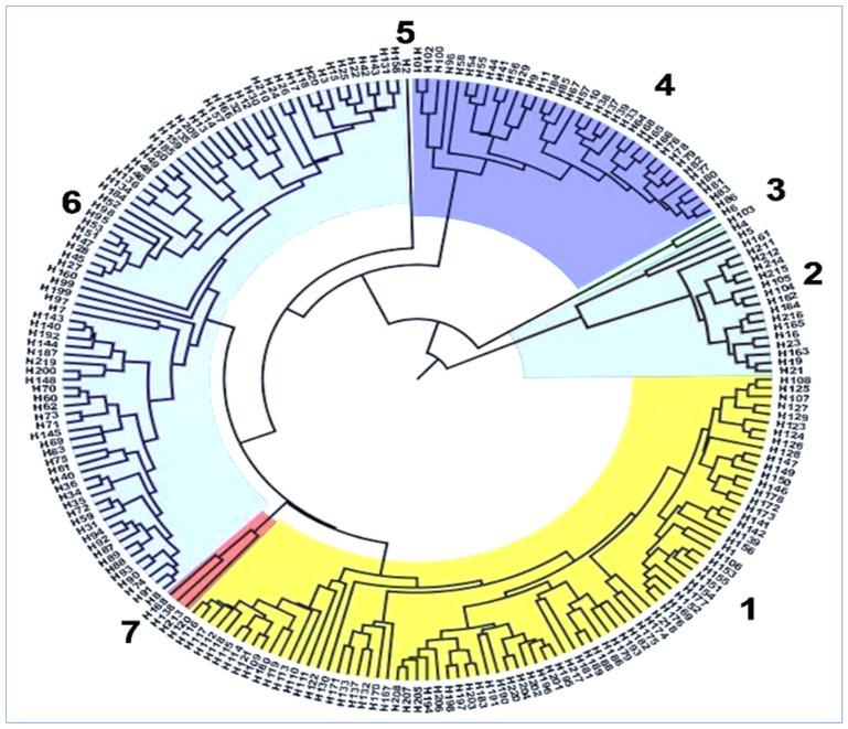 https://cdn.ncbi.nlm.nih.gov/pmc/blobs/a508/8399030/cb92dc27ebb8/plants-10-01735-g002.jpg