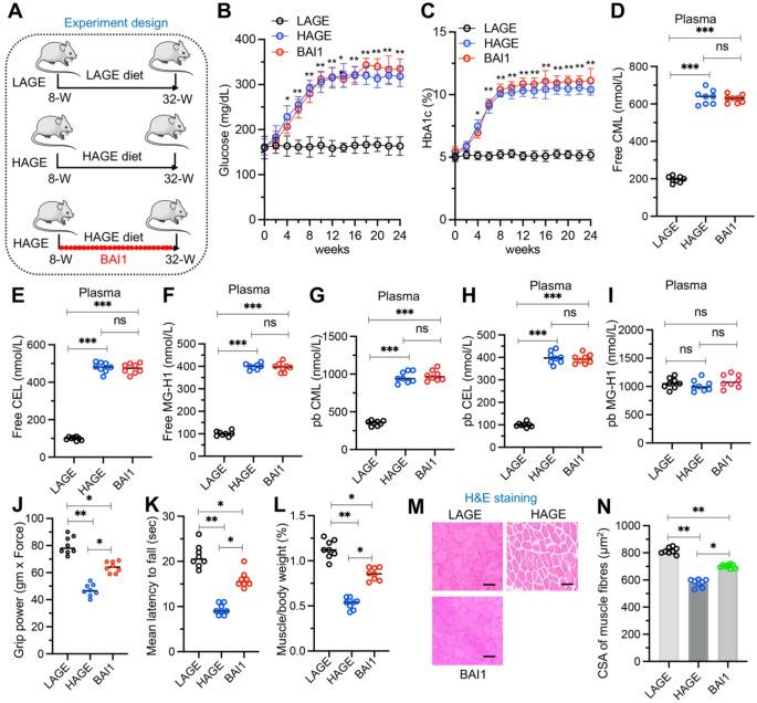https://cdn.ncbi.nlm.nih.gov/pmc/blobs/a50a/11977089/81ff6960a11a/18_2025_5657_Fig7_HTML.jpg