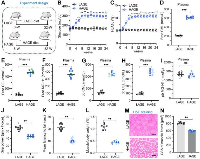 https://cdn.ncbi.nlm.nih.gov/pmc/blobs/a50a/11977089/f1a79baec32d/18_2025_5657_Fig1_HTML.jpg