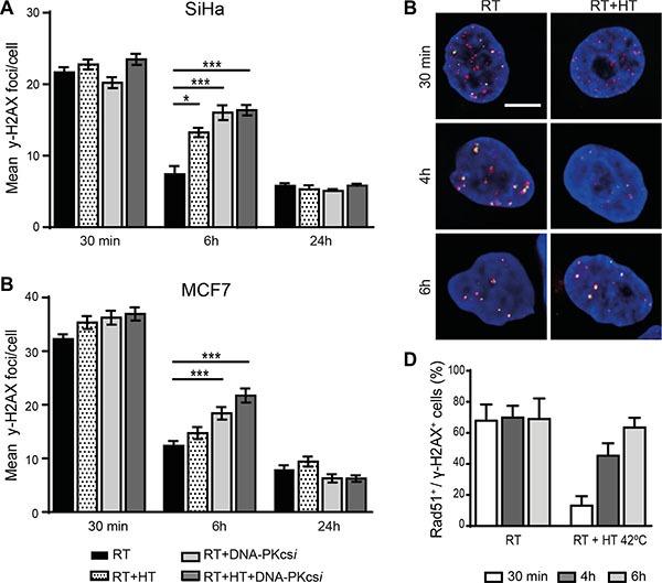 https://cdn.ncbi.nlm.nih.gov/pmc/blobs/a50b/5323171/c469bbea2bd3/oncotarget-07-65504-g002.jpg