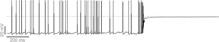 https://cdn.ncbi.nlm.nih.gov/pmc/blobs/a50e/7902556/4050c3fd5b48/gr8.jpg