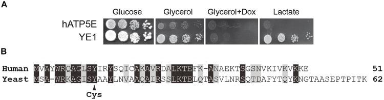 https://cdn.ncbi.nlm.nih.gov/pmc/blobs/a50f/4407571/1803436196b9/fgene-06-00159-g001.jpg