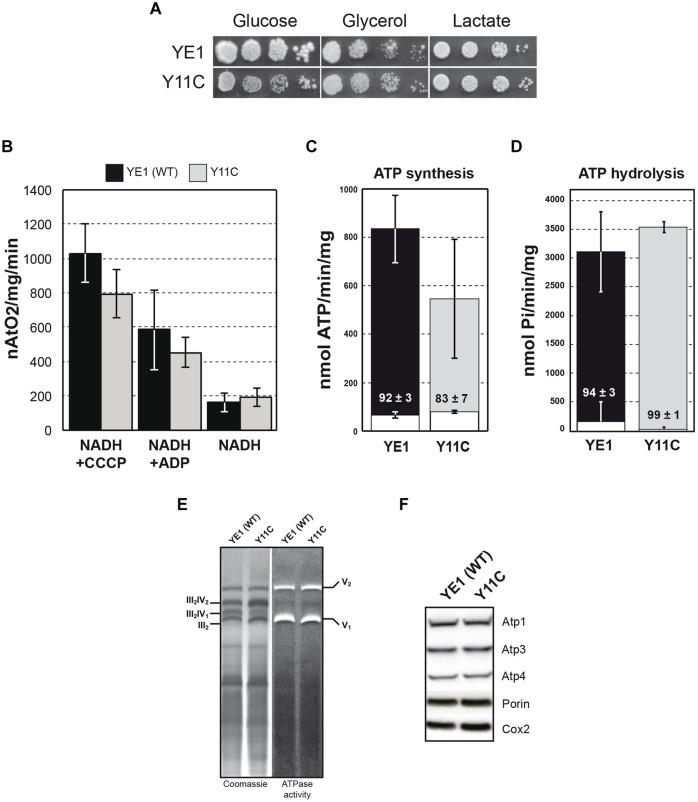 https://cdn.ncbi.nlm.nih.gov/pmc/blobs/a50f/4407571/2ae1b73174b6/fgene-06-00159-g002.jpg