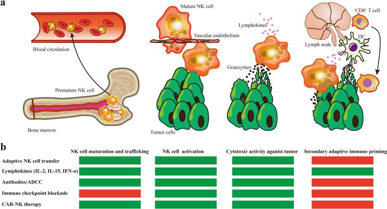 https://cdn.ncbi.nlm.nih.gov/pmc/blobs/a510/10680233/0a555bc857da/12943_2023_1885_Fig5_HTML.jpg