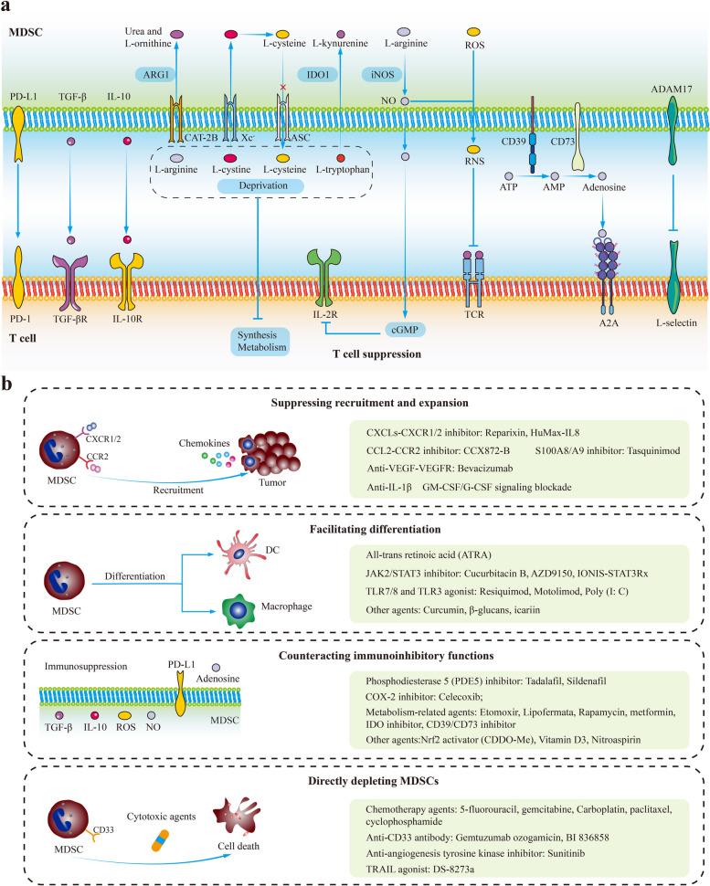 https://cdn.ncbi.nlm.nih.gov/pmc/blobs/a510/10680233/4e81169f9a41/12943_2023_1885_Fig3_HTML.jpg