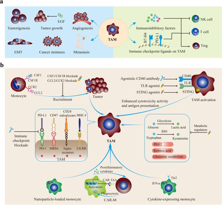 https://cdn.ncbi.nlm.nih.gov/pmc/blobs/a510/10680233/5fd131d4c680/12943_2023_1885_Fig2_HTML.jpg