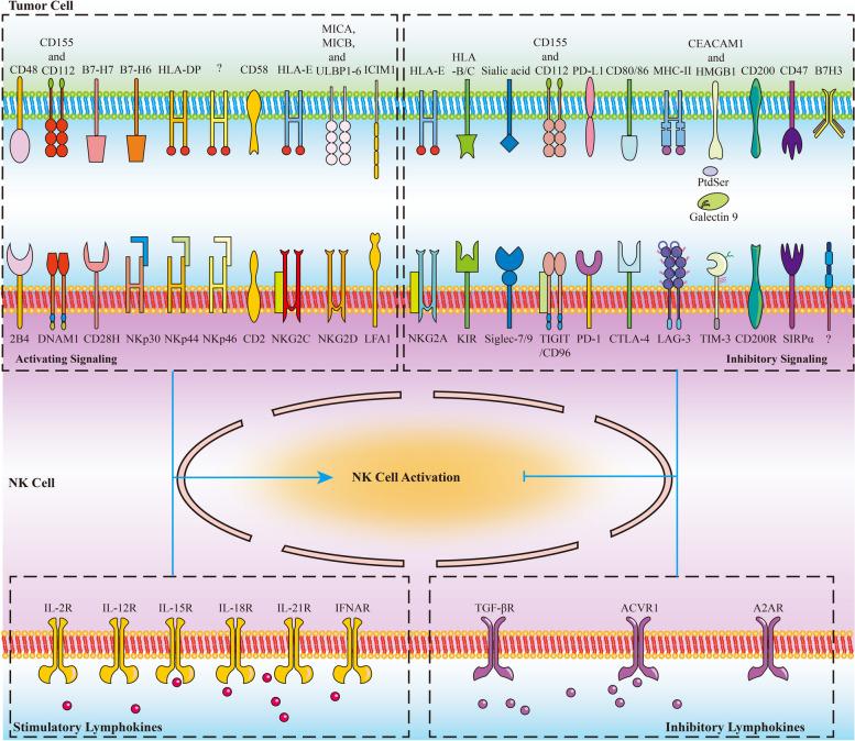 https://cdn.ncbi.nlm.nih.gov/pmc/blobs/a510/10680233/b8a5af934afa/12943_2023_1885_Fig4_HTML.jpg