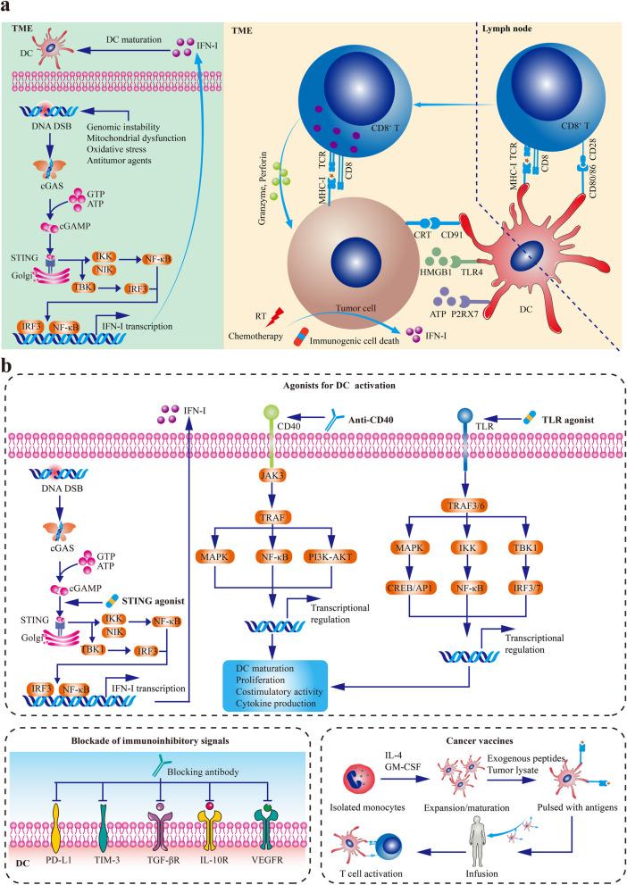 https://cdn.ncbi.nlm.nih.gov/pmc/blobs/a510/10680233/c3d6288171fe/12943_2023_1885_Fig1_HTML.jpg