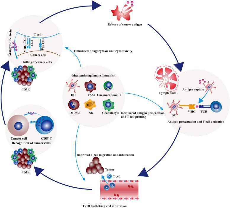 https://cdn.ncbi.nlm.nih.gov/pmc/blobs/a510/10680233/c7dce618fcb4/12943_2023_1885_Fig6_HTML.jpg