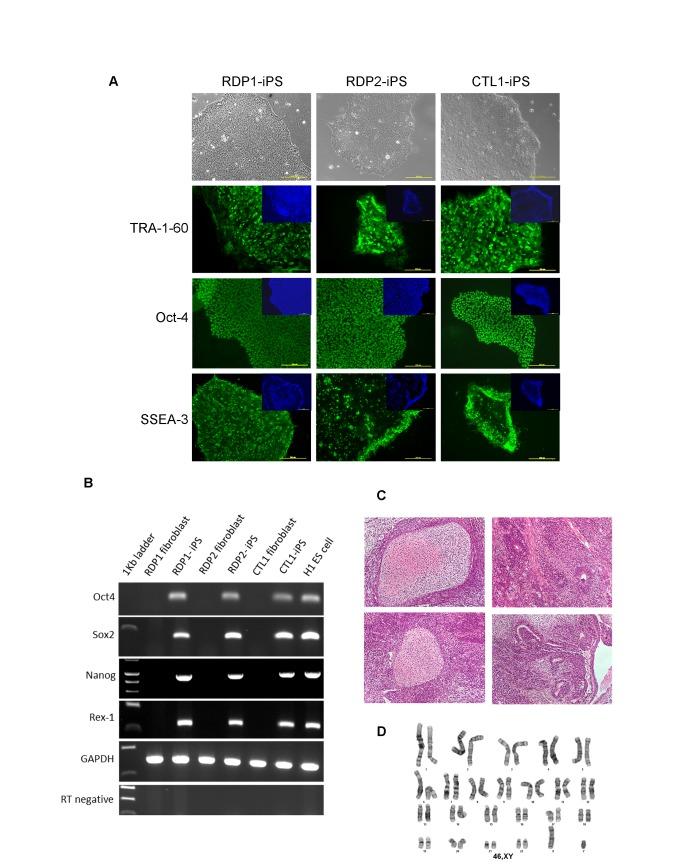 https://cdn.ncbi.nlm.nih.gov/pmc/blobs/a510/3841145/2a75e2680360/pone.0081622.g003.jpg