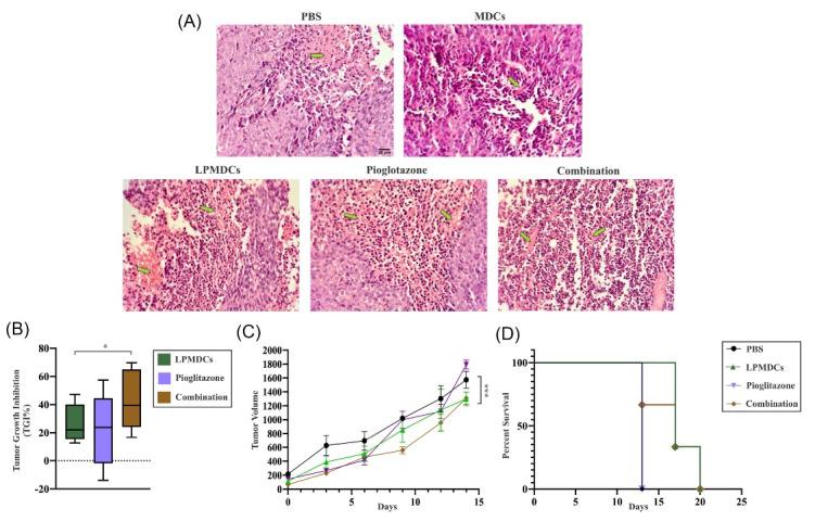 https://cdn.ncbi.nlm.nih.gov/pmc/blobs/a511/10460770/2140bd6ac0a9/bi-13-333-g005.jpg