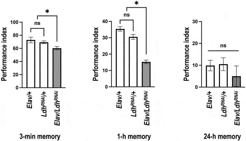https://cdn.ncbi.nlm.nih.gov/pmc/blobs/a512/10877976/6c64c0df1e3f/KGMI_A_2316533_F0006_B.jpg