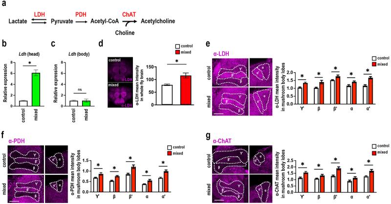 https://cdn.ncbi.nlm.nih.gov/pmc/blobs/a512/10877976/dd34b6148c8b/KGMI_A_2316533_F0005_OC.jpg