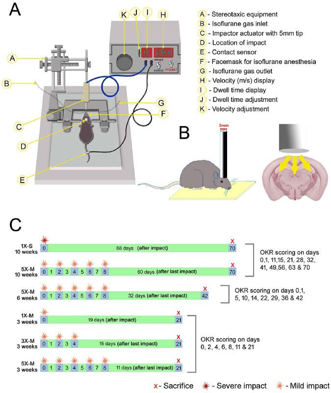 https://cdn.ncbi.nlm.nih.gov/pmc/blobs/a513/7794277/fc1bc2e8f194/tvst-10-1-8-f001.jpg