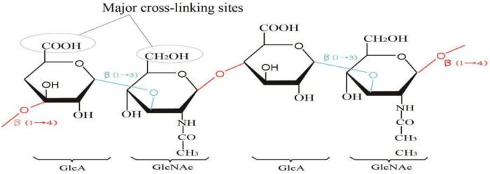 https://cdn.ncbi.nlm.nih.gov/pmc/blobs/a513/9518289/187f3dcf88de/IDRD_A_2125600_F0002_C.jpg