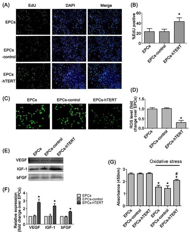 https://cdn.ncbi.nlm.nih.gov/pmc/blobs/a518/5129934/8816a111b050/oncotarget-07-39302-g003.jpg