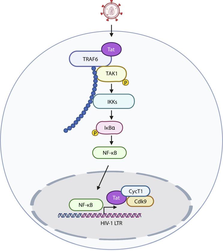 https://cdn.ncbi.nlm.nih.gov/pmc/blobs/a519/10798561/265994e73e9d/sciadv.adi4162-f7.jpg