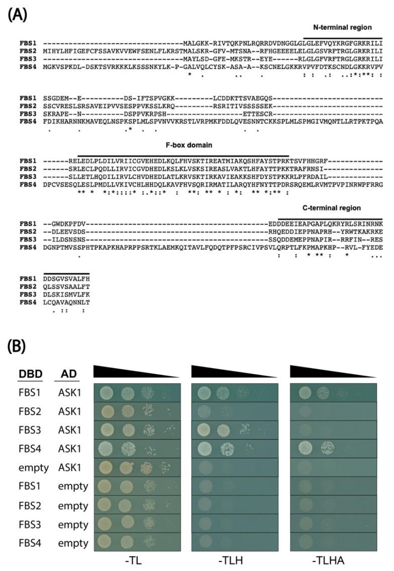 https://cdn.ncbi.nlm.nih.gov/pmc/blobs/a519/8537223/4e74ef0ece83/plants-10-02228-g001.jpg
