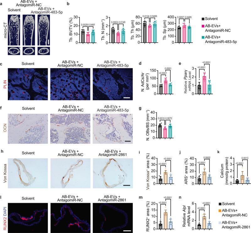 https://cdn.ncbi.nlm.nih.gov/pmc/blobs/a519/8933454/5856b1e612a6/41467_2022_29191_Fig7_HTML.jpg