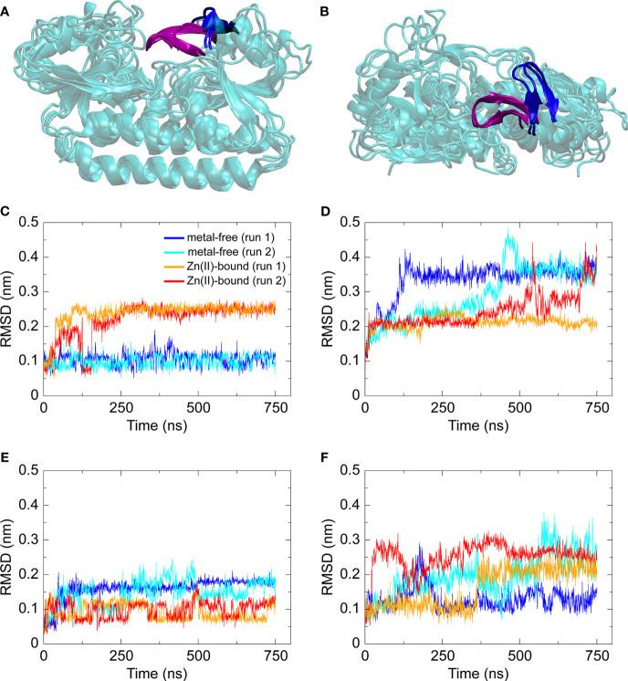 https://cdn.ncbi.nlm.nih.gov/pmc/blobs/a51a/8416893/2c4738801cbe/fcimb-11-729981-g002.jpg