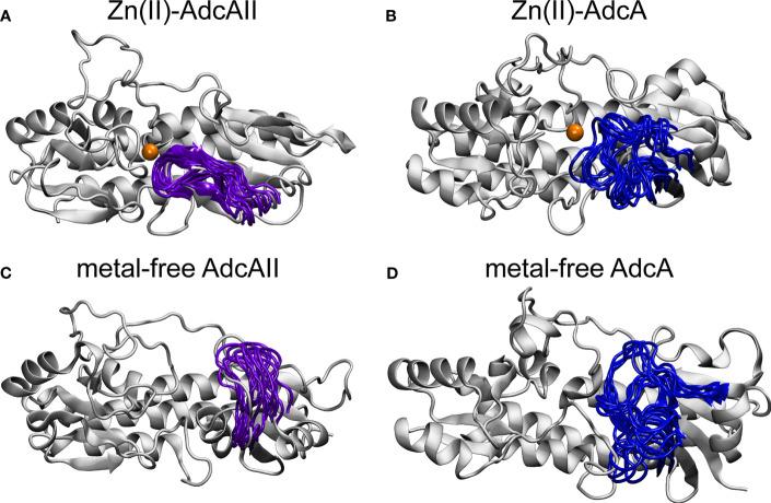 https://cdn.ncbi.nlm.nih.gov/pmc/blobs/a51a/8416893/e83707de2022/fcimb-11-729981-g003.jpg