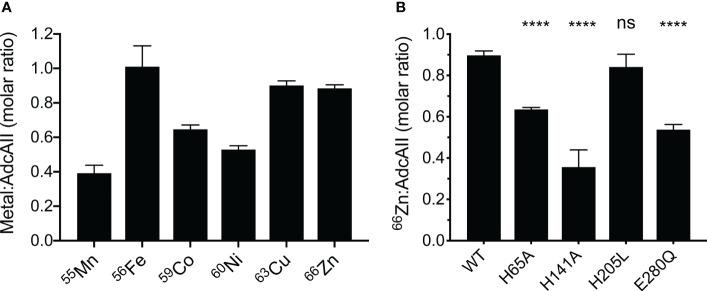 https://cdn.ncbi.nlm.nih.gov/pmc/blobs/a51a/8416893/eed00366c75e/fcimb-11-729981-g004.jpg