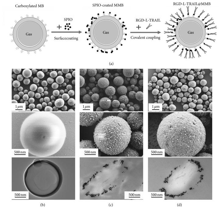 https://cdn.ncbi.nlm.nih.gov/pmc/blobs/a51b/6642784/4cca3cd2b343/CMMI2019-3145647.008.jpg