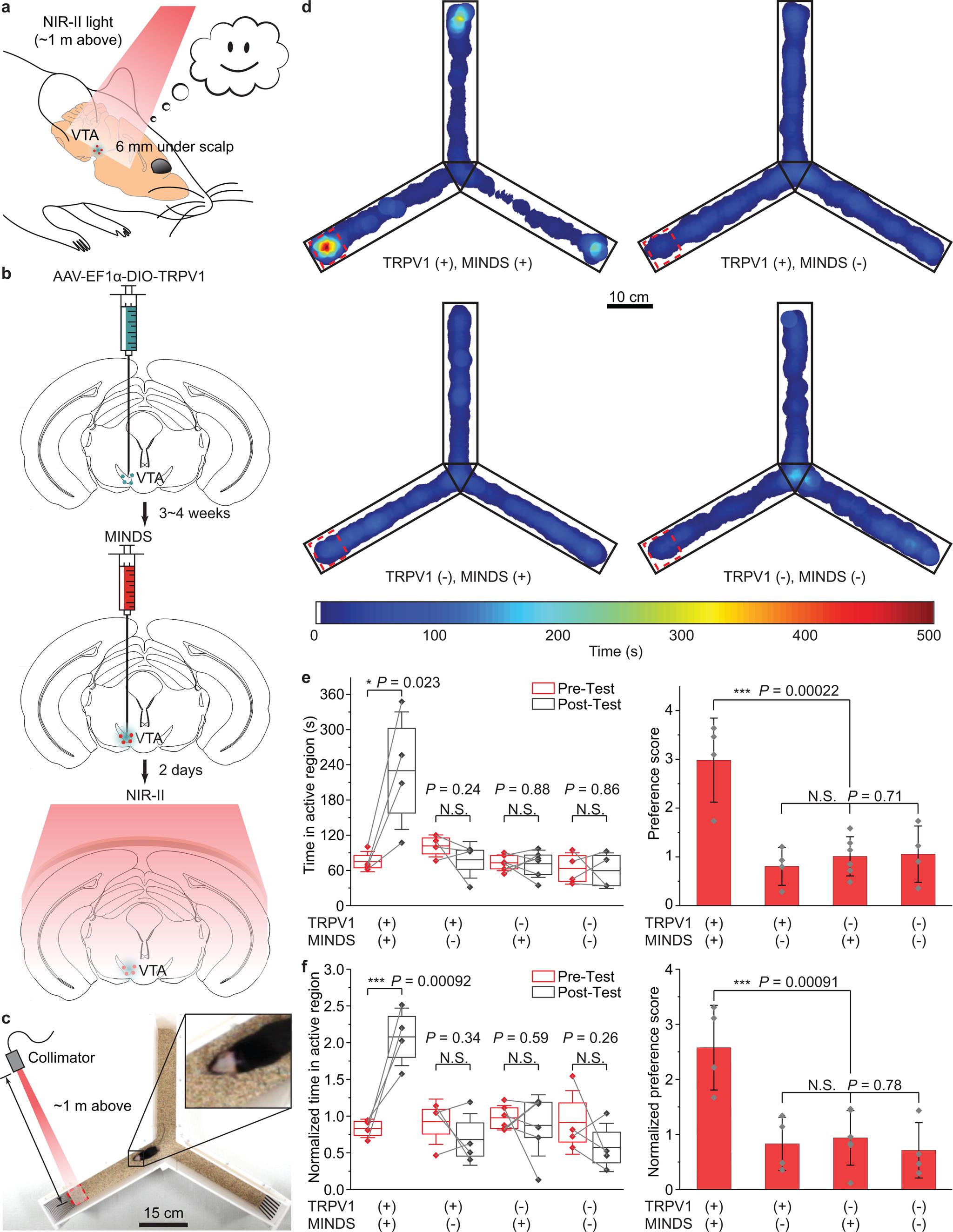 https://cdn.ncbi.nlm.nih.gov/pmc/blobs/a51b/9232843/22f031dc7044/nihms-1757579-f0005.jpg