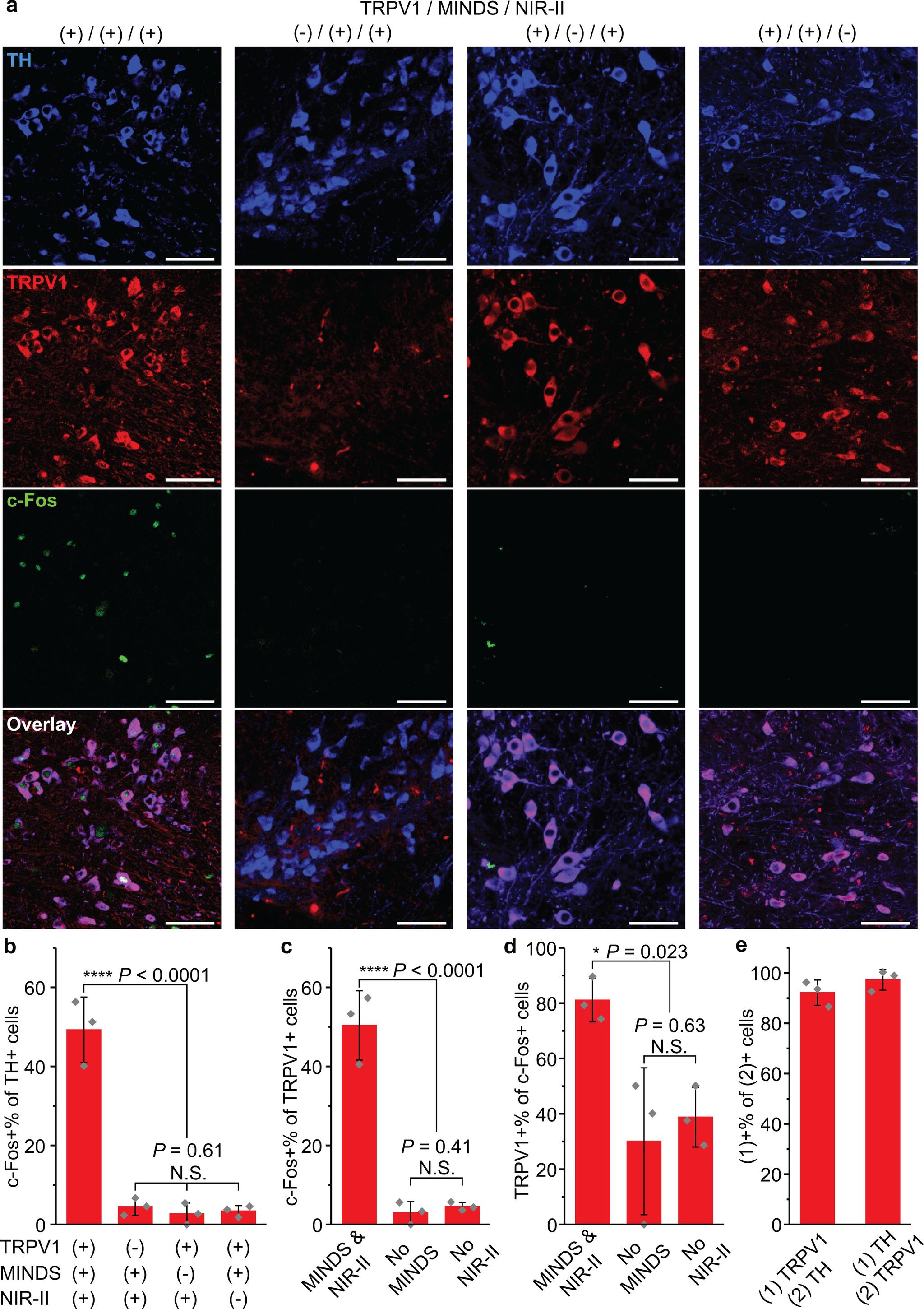 https://cdn.ncbi.nlm.nih.gov/pmc/blobs/a51b/9232843/76ee07c5a999/nihms-1757579-f0006.jpg
