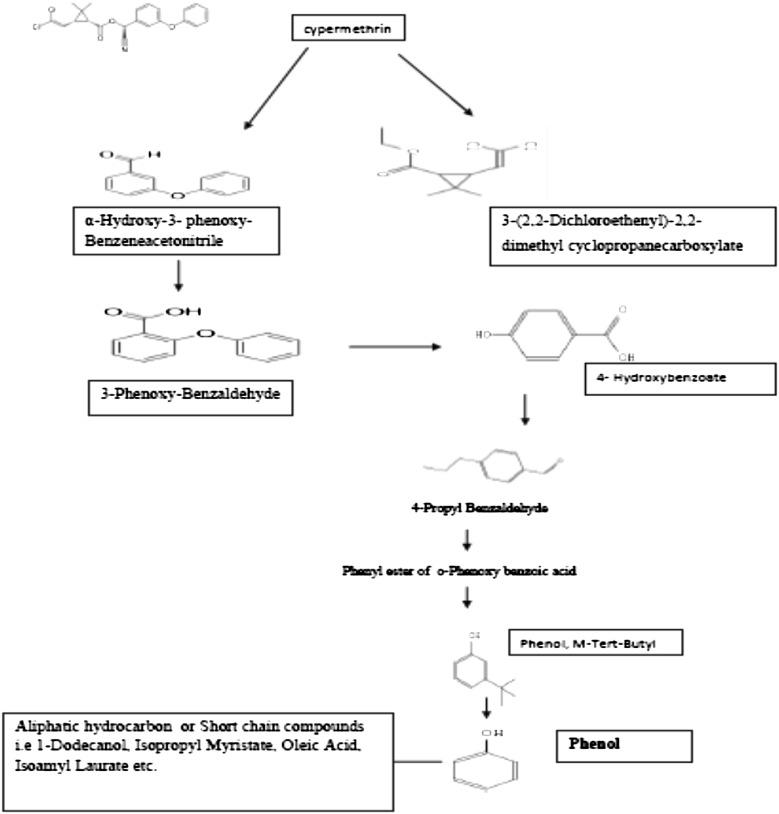 https://cdn.ncbi.nlm.nih.gov/pmc/blobs/a51c/4742419/f875bd3074de/13205_2016_372_Fig6_HTML.jpg