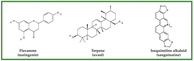 https://cdn.ncbi.nlm.nih.gov/pmc/blobs/a51c/9867334/c03bef650123/molecules-28-00598-g003.jpg