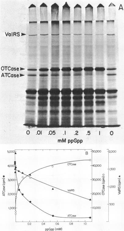 https://cdn.ncbi.nlm.nih.gov/pmc/blobs/a51e/221724/97bd41e64e8e/jbacter00249-0433-a.jpg