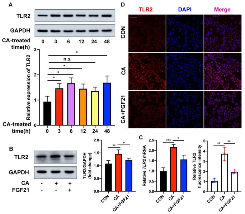 https://cdn.ncbi.nlm.nih.gov/pmc/blobs/a51e/8998725/d949e57db7d3/ijms-23-03589-g004.jpg