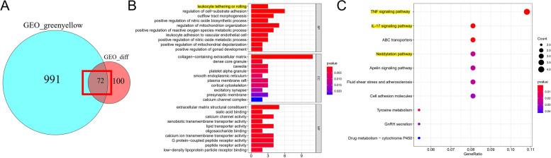 https://cdn.ncbi.nlm.nih.gov/pmc/blobs/a51f/8320213/58ede5fc1281/12957_2021_2333_Fig3_HTML.jpg